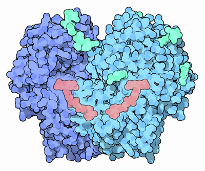 Файл:077-GlucoseOxidase-1gpe-composite.png