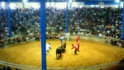 File:Bullfighting.jpg