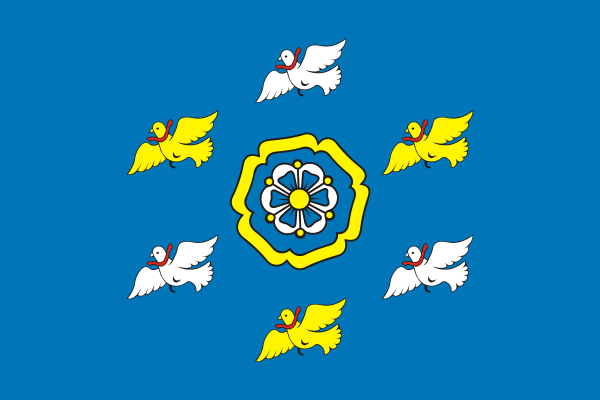 Archivo:Flag of Torzhoksky rayon (Tver oblast).png