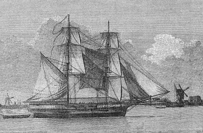 File:Woodcut of Lady Nelson brig.jpg