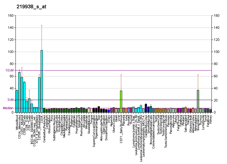 File:PBB GE PSTPIP2 219938 s at fs.png