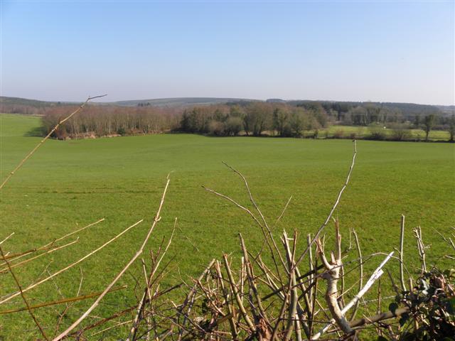 File:Burren, Templeport.jpg