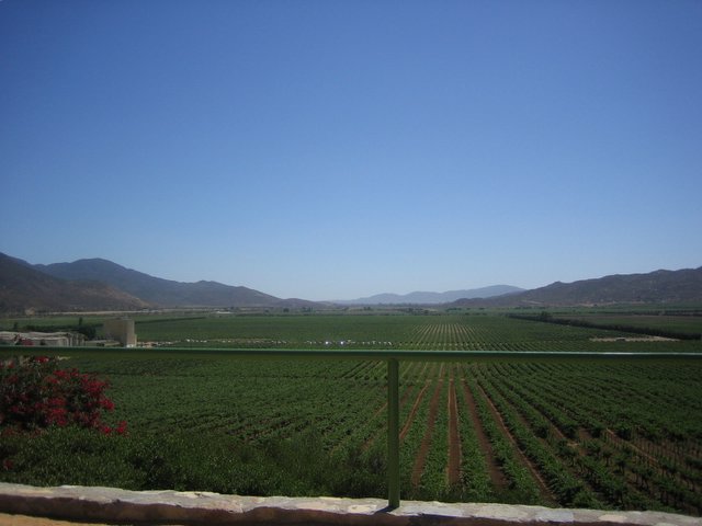 Archivo:Valle de guadalupe.jpg