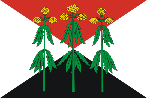 Файл:Flag of Kimovsky rayon (Tula oblast).png