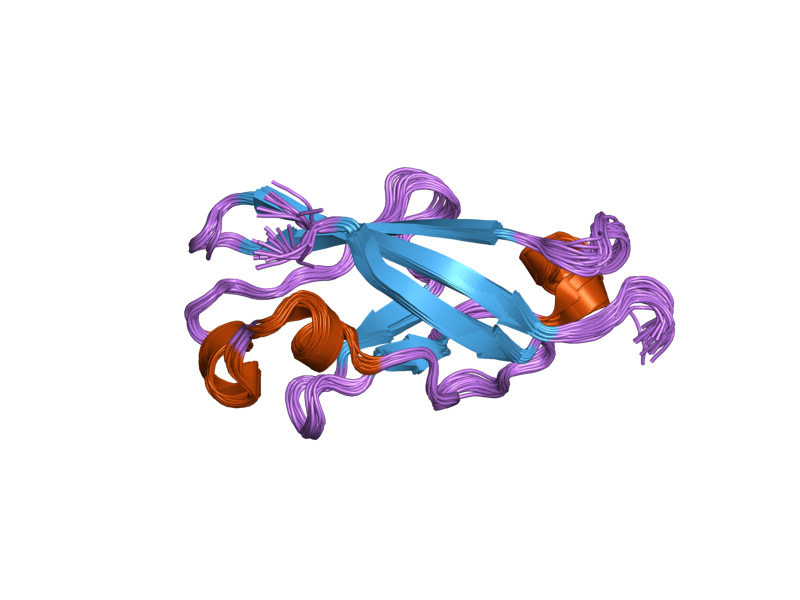 File:PDB 1wuz EBI.png