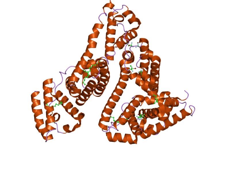 File:PDB 1e7c EBI.jpg