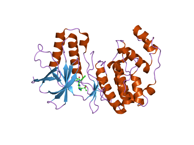 File:PDB 2ghl EBI.png