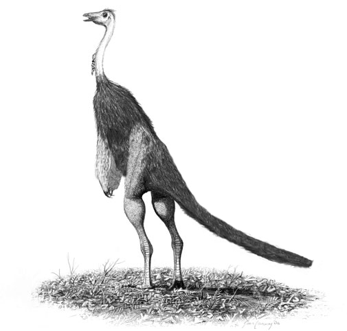 File:Struthiomimus altus jconway.jpg