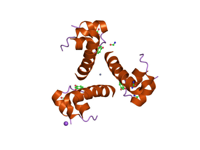 File:PDB 2omh EBI.png