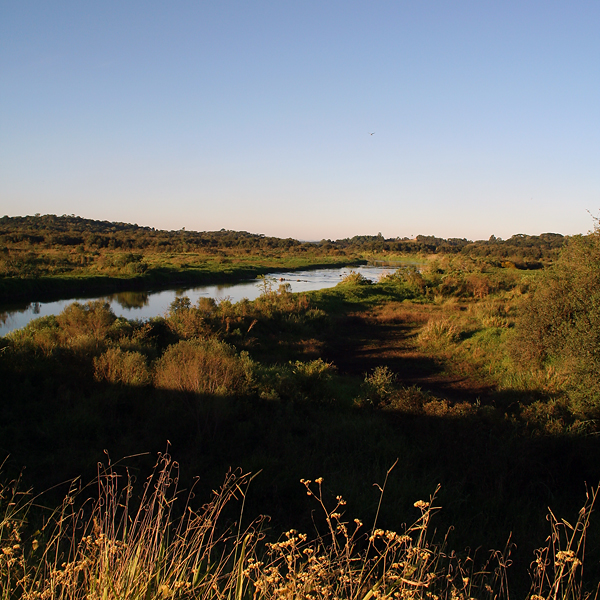 File:Rio iguaçu curitiba.jpg