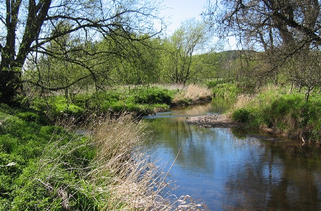 File:Bowmont Water - geograph.org.uk - 165343.jpg