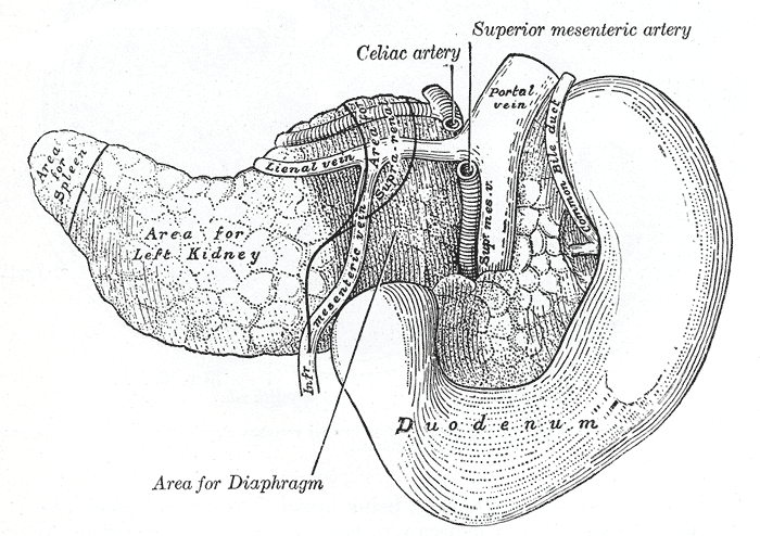 File:Gray1099.png