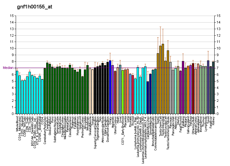 CCDC113 CCDC113 Expression