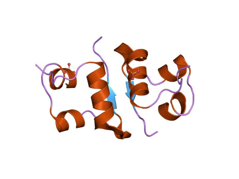 File:PDB 1guj EBI.jpg