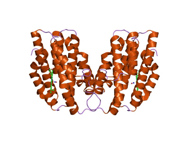 File:PDB 1twr EBI.jpg