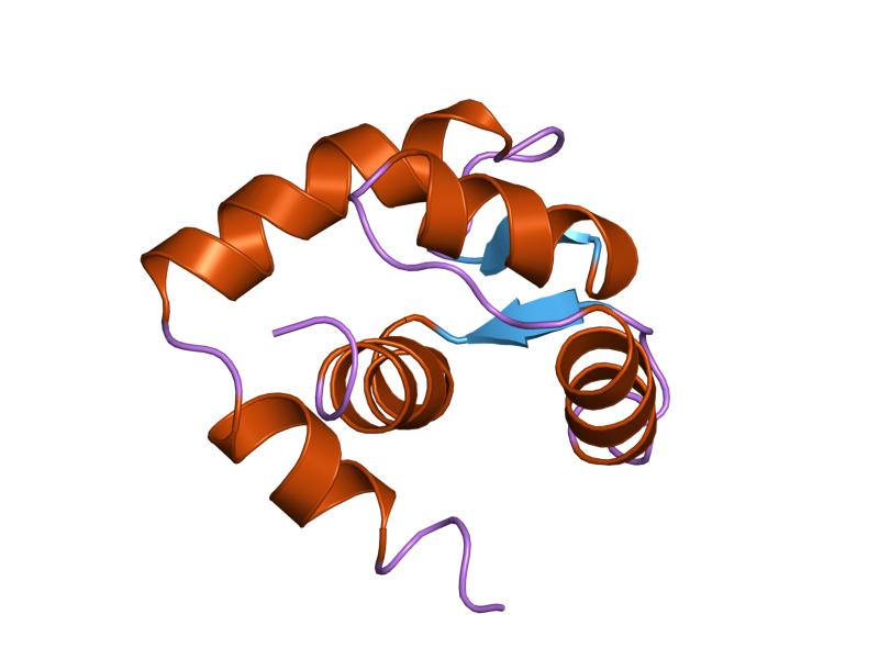 File:PDB 1zac EBI.jpg