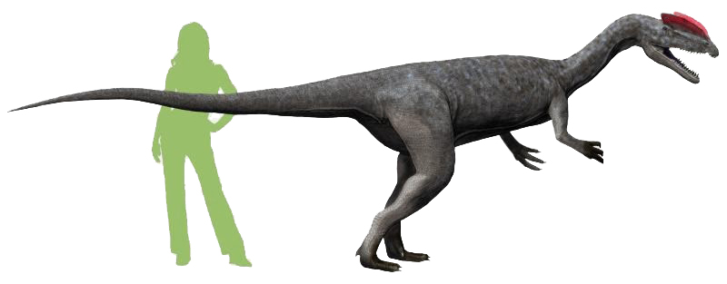 File:Dilophosaurus NT.jpg