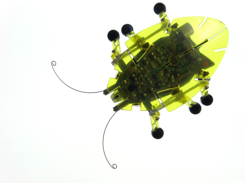 File:HEX BUG DELTA 03.jpg