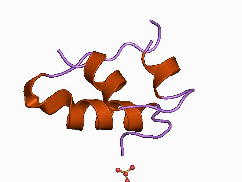 File:PDB 1b17 EBI.jpg