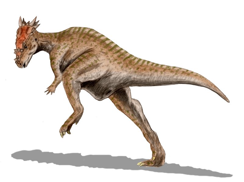 Файл:Dracorex BW.jpg