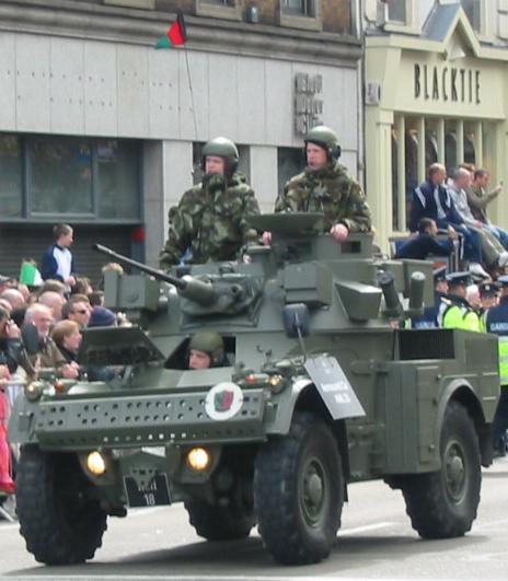 File:Irish AML-20.JPG