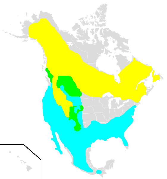 File:Regulus calendula range.png