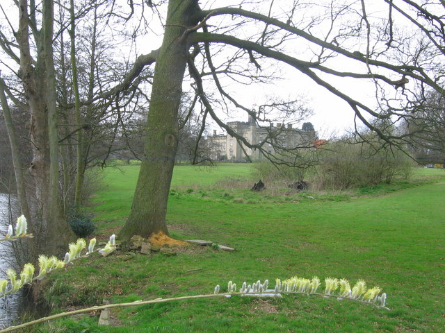 File:Chiddingstone Castle - geograph.org.uk - 151581.jpg