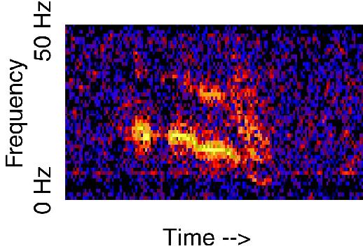 File:Julia-unidentified-sound-spectrogram.jpg