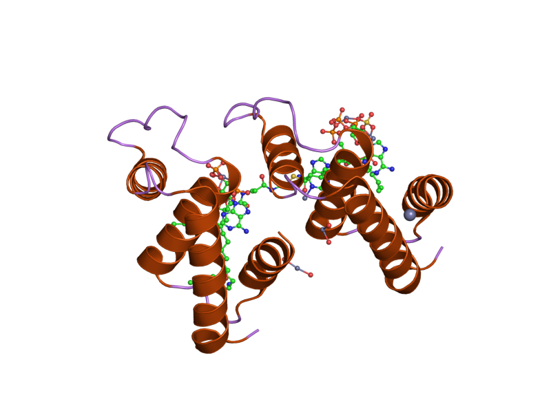 File:PDB 2cb8 EBI.png