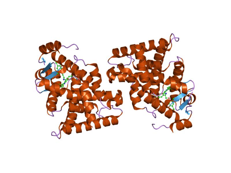 File:PDB 2j14 EBI.jpg