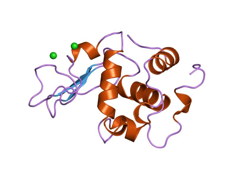 File:PDB 1wqo EBI.jpg