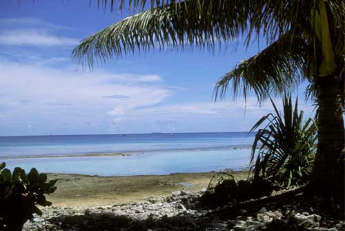 Файл:Beach on Fongafale Islet.jpg