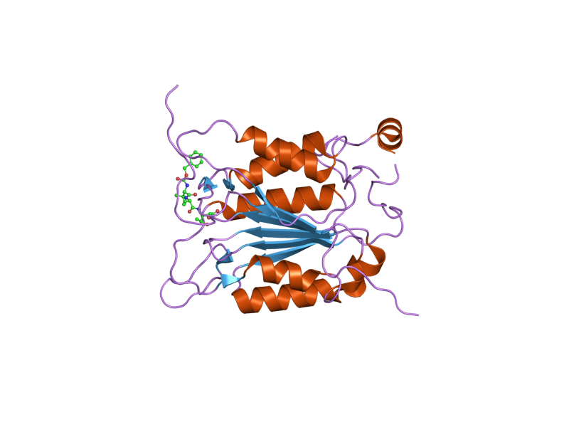 File:PDB 2hby EBI.png