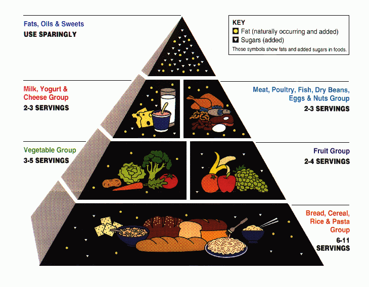 File:USDA Food Pyramid.gif