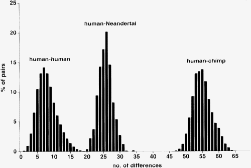 File:Human-Neandertal mtDNA.gif