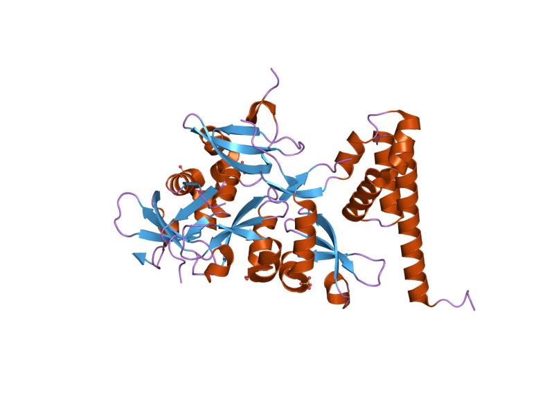 File:PDB 2fmm EBI.jpg