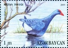 Файл:Stamps of Azerbaijan, 2009-878.jpg