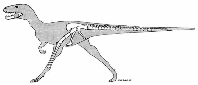 File:Bagaraatan outline.jpg