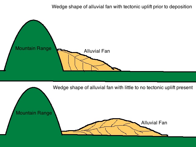 The figure shows which type of wedge shape the alluvial fan takes due to the amount of tectonic uplift present