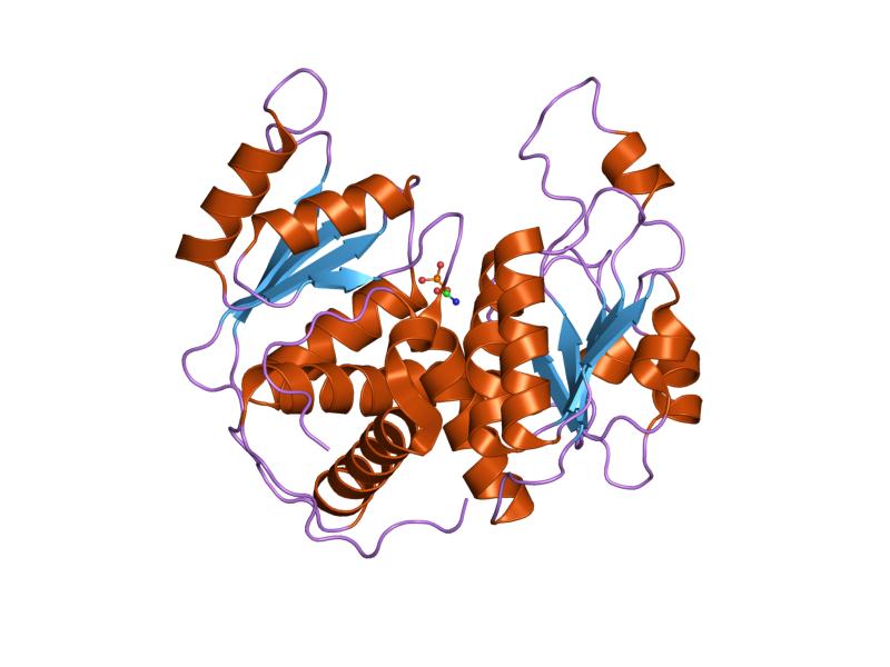 File:PDB 1ep9 EBI.jpg