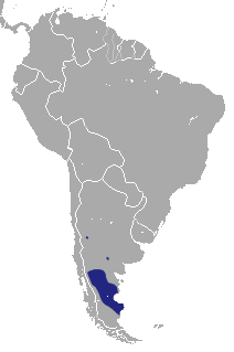 Patagonian Opossum area.png