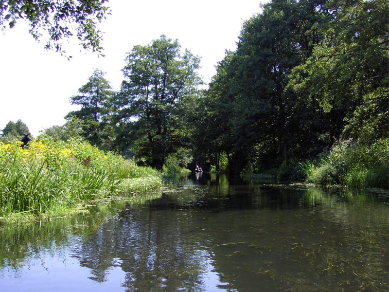 File:Spreewald.jpg