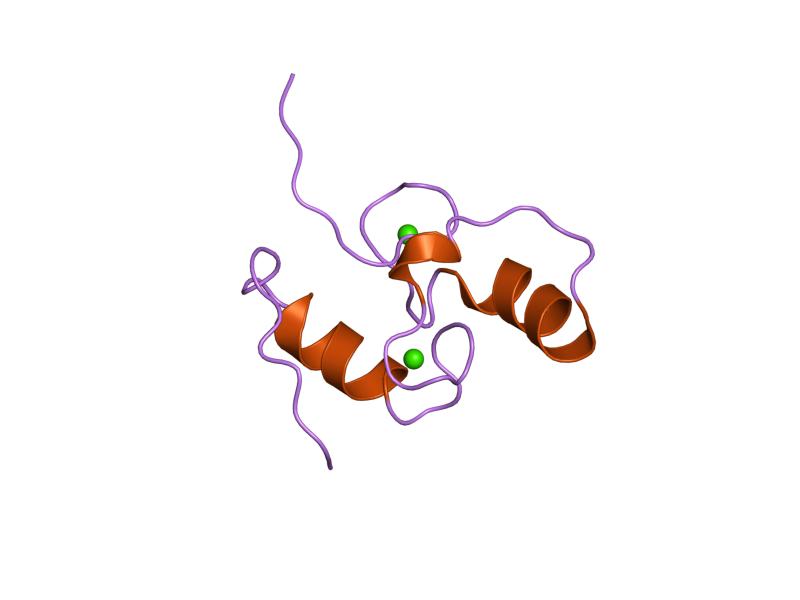 File:PDB 1daq EBI.jpg