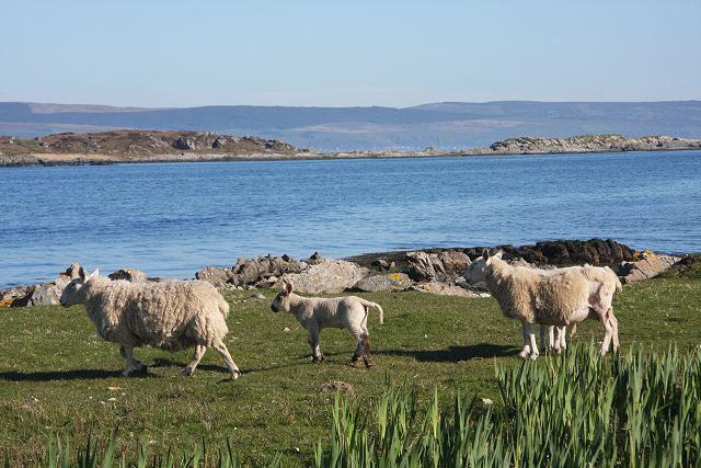 Archivo:View to Gigalum Island.jpg