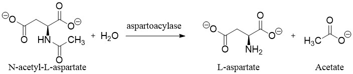 File:ASPA overall reaction 2.jpg