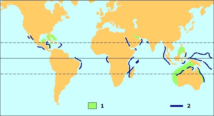 Archivo:Sedimentacion calcarea.jpg