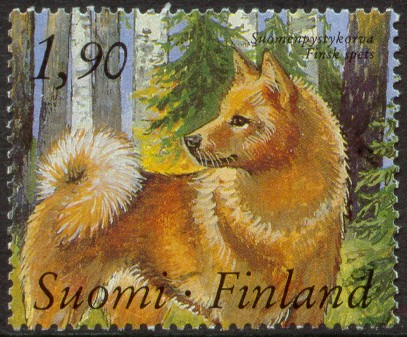 Файл:Suomenpystykorva-1989.jpg