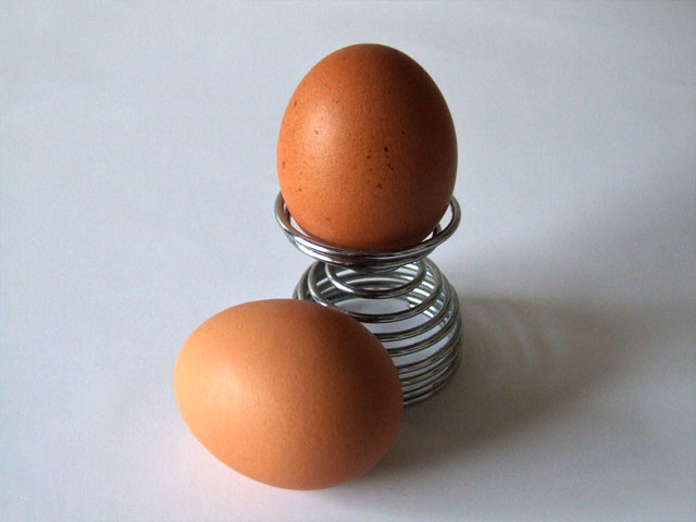 Файл:Eggs-5486.JPG