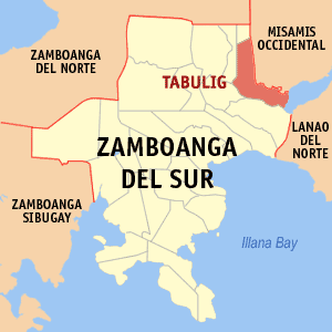 Map of Zamboanga del Sur showing the location of Tambulig