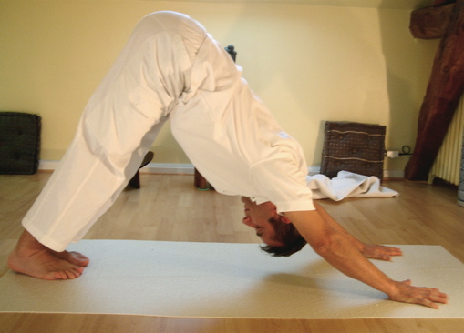 File:Ado-muka-shvanasana.jpg